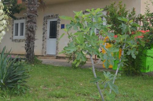  Apartment Kod Škilje in Goriš