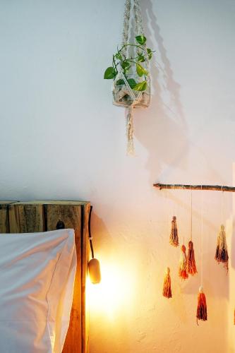 Red Panda Hostal – Playa del Carmen, TX