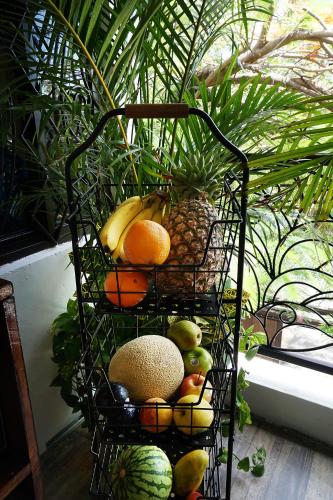 Red Panda Hostal – Playa del Carmen, TX