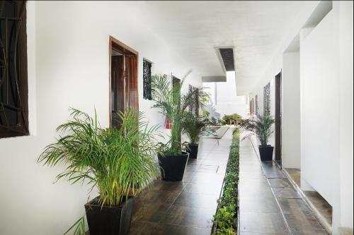 Red Panda Hostal in พลาย่า เดล ตาร์เมน