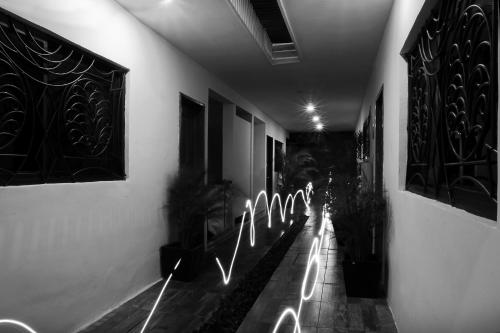 Red Panda Hostal – Playa del Carmen, TX