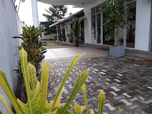 White Wall Hotel in Dompe