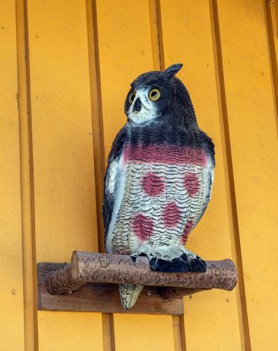 Sandmoen Motel (Free Parking) - image 14