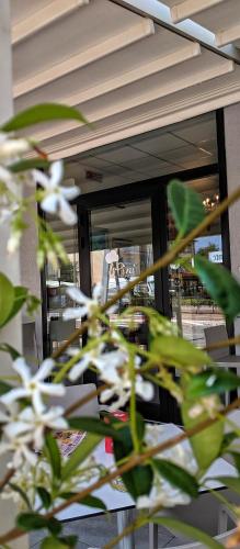 Hotel I Pini in Lido di Pomposa