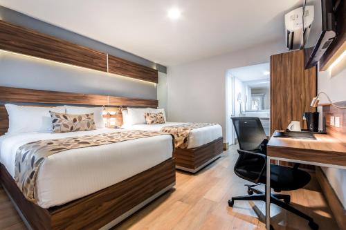 Foto - Sleep Inn Monterrey Norte