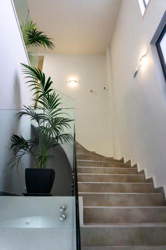 Pallada Athens boutique rooms & apartments - image 7