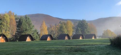 Badaguish lodges wigwams and camping - image 10