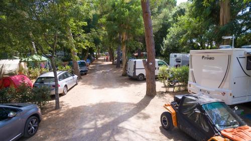 Camping Les Micocouliers - image 5