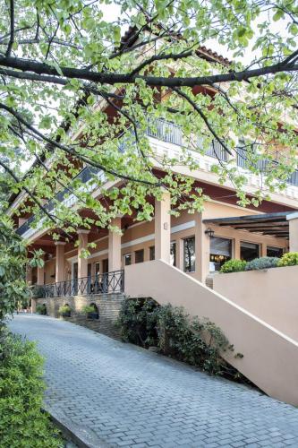 Hotel Zorbas in Drosia