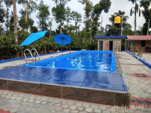 Giri Darshini Homestay - Simple Rooms with Pool & Private Falls Chikkamagaluru
