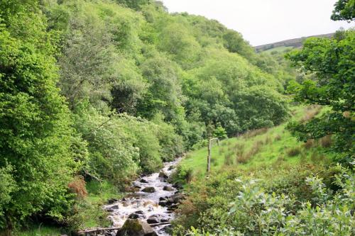 Wild Atlantic View Inishowen