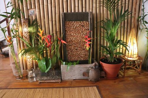 Entree, Nyeleni maison sahel in Yoff