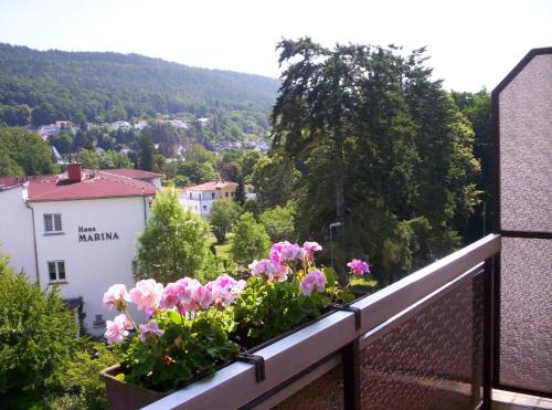 منظر, Hotel Olympia in Bad Orb