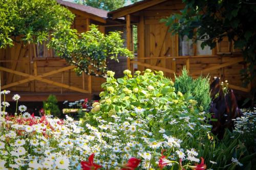 Holiday home Teremki