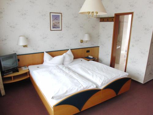 Hotel Olympia - image 14