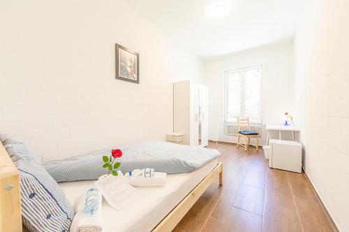 YELLOW INN- Simple Rooms and Easy Parking direkt bei der OLMA nahe HSG und Spital - Kriens