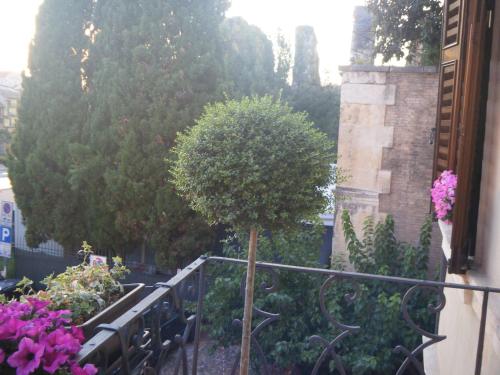 B&B Verona Centro, Verona (foto 8)