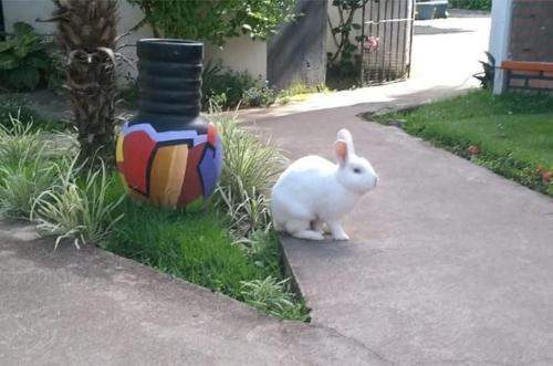 Pousada do Gordo