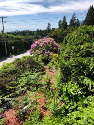 City Gardens Suites B&B in North Vancouver, Canada