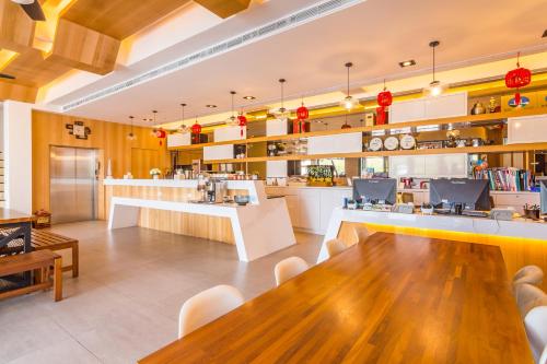 Sun Palm near Twin-Hearts Stone Weir