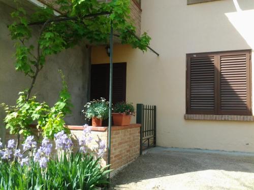 Appartamento in collina la Perla, Riparbella (foto 3)