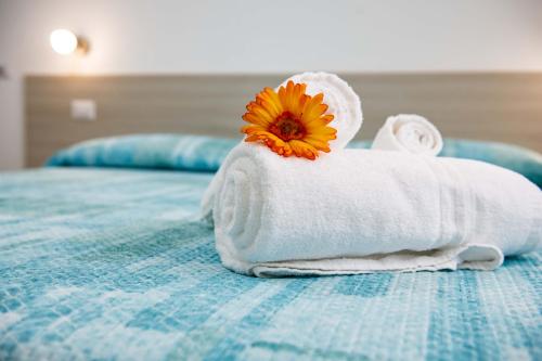 B&B Il Viaggiatore 5