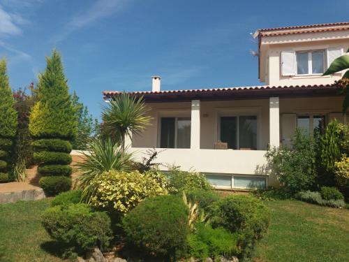 Viesnīcas āriene, Beautiful Summer Villa in Chalkoutsi in Chalkoutsi (Attiki)