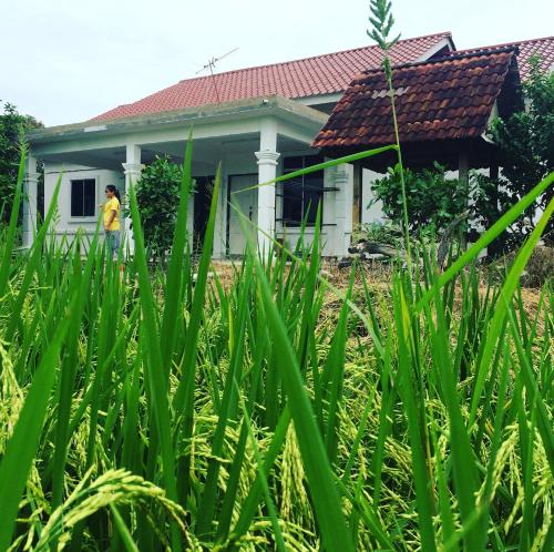 Abid Homestay & Chalet