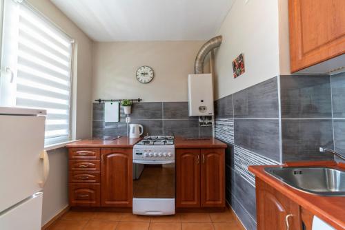 One-Bedroom Apartment image 9