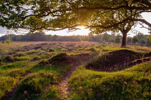 B&B de Sfeerhoeve