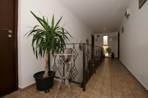 Lobby, Vila Pretty Woman in Eforie Nord