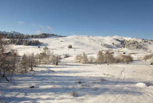 Appt 4/5 pers. Les Saisies front de neige