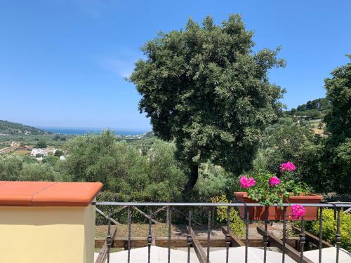 Parco dei Limoni - main image