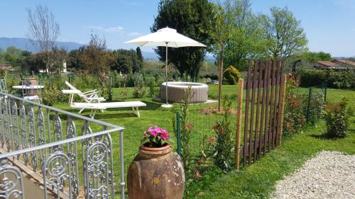 La cantina di Tonino in Lucca