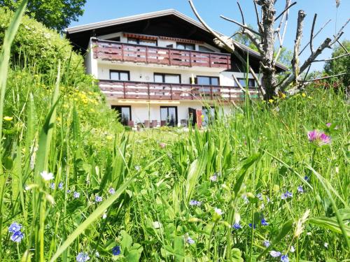 Ferienwohnung Tschengla mit eigener Sonnenterrasse - Wiese - Wlan - Netflix - Apartment - Bürserberg