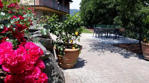 Podere Saranna – Pescia, IA