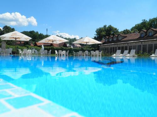 Úszómedence, Golf Resort Hotel Konopiste in Benesov
