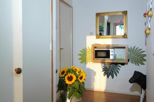 Bed and Breakfast Tulip Gallery, Pension in Amsterdam bei Haarlem