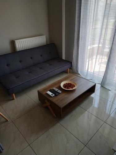 ΔΙΑΜΕΡΙΣΜΑ ΣΤΟ ΛΙΤΟΧΩΡΟ ΜΕ ΕΚΠΛΗΚΤΙΚΗ ΘΕΑ, Litochoro (Foto 4)