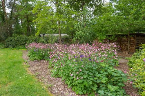 B&B Schipborg - image 9