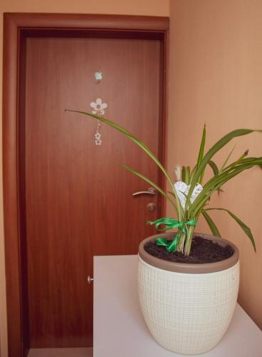  Mikula Apartman in Mravince