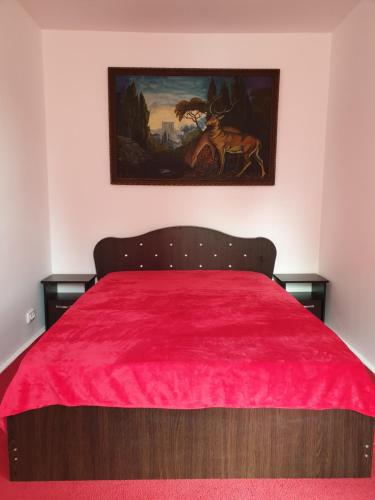 Red House Apartament - Apartment - Campina