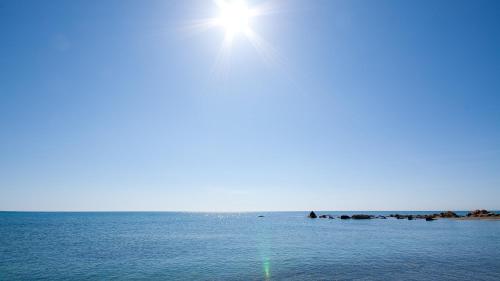 Marina Castillo 302 - image 9