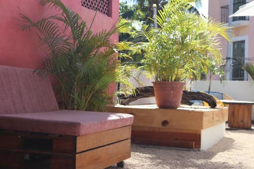 Varanda/terraço, Wabi Hostel in Playa Del Carmen