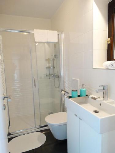 Apartment Adriana 2 (ground floor) in Musalez