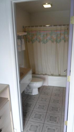 Budget Inn of Lodi - image 6