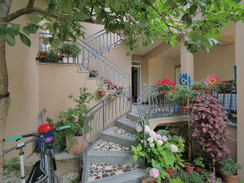 Dotări, Apartments Blago Sutomore in Sutomore