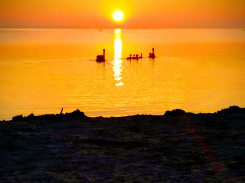 _Balders Bude_ - image 2