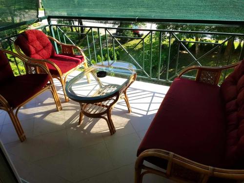 벨리코 그라디스테 Sobe EMILIJA 3성급 호텔 수영장