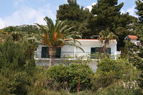 Apartment Zaostrog 2637b 